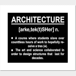 Architecture Funny Noun Definition Posters and Art